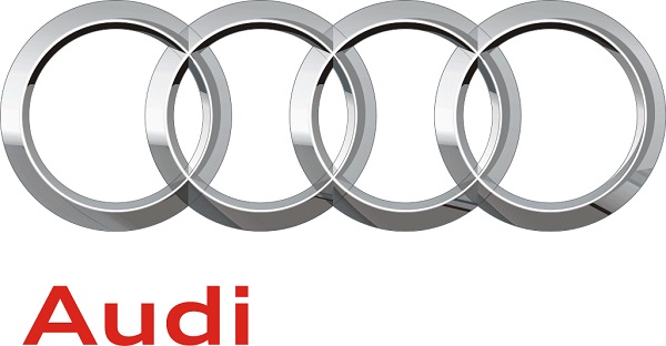 Audi logo detail