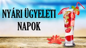 nyri gyelet1